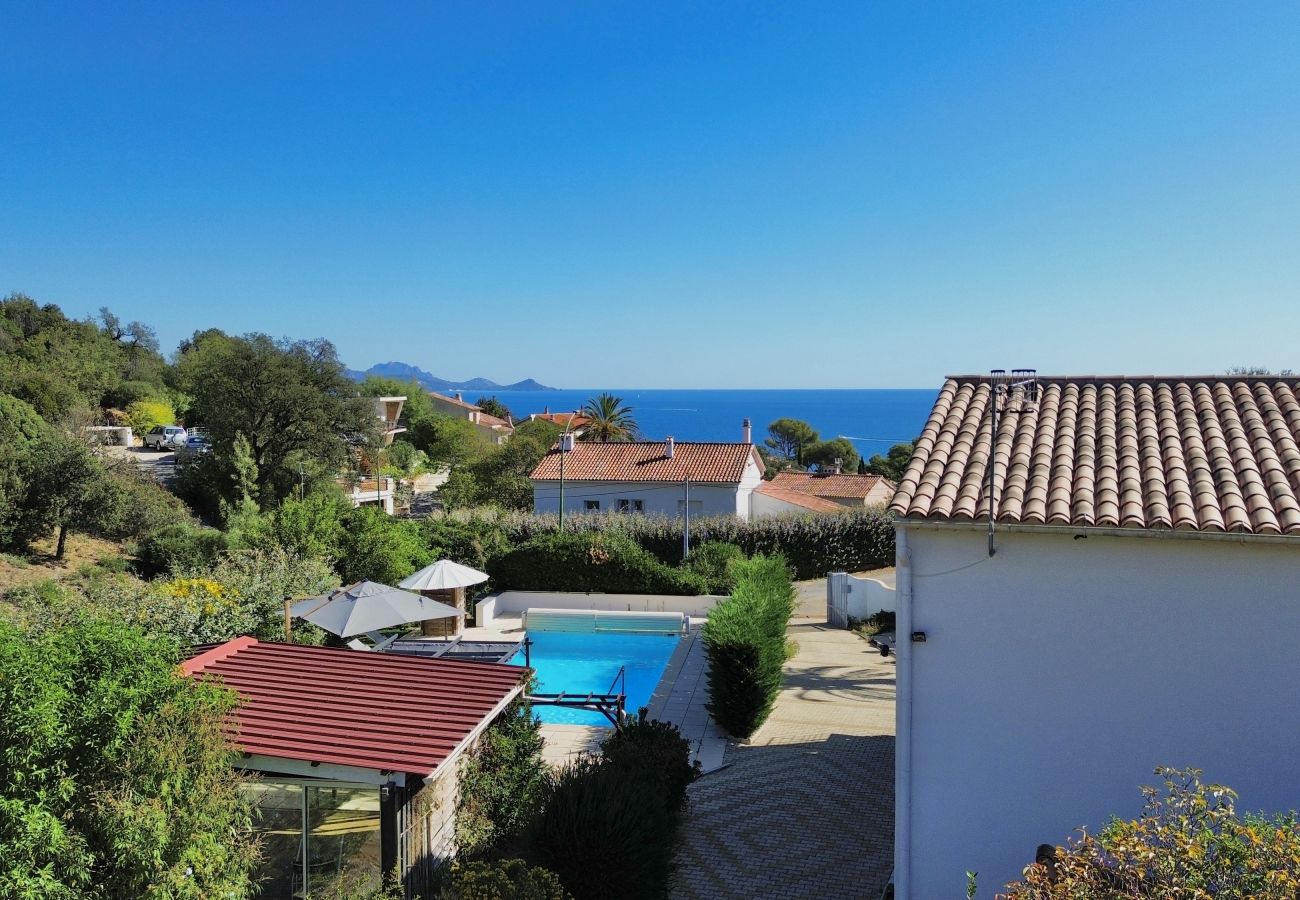 Villa in Les Issambres - Villa Palmier