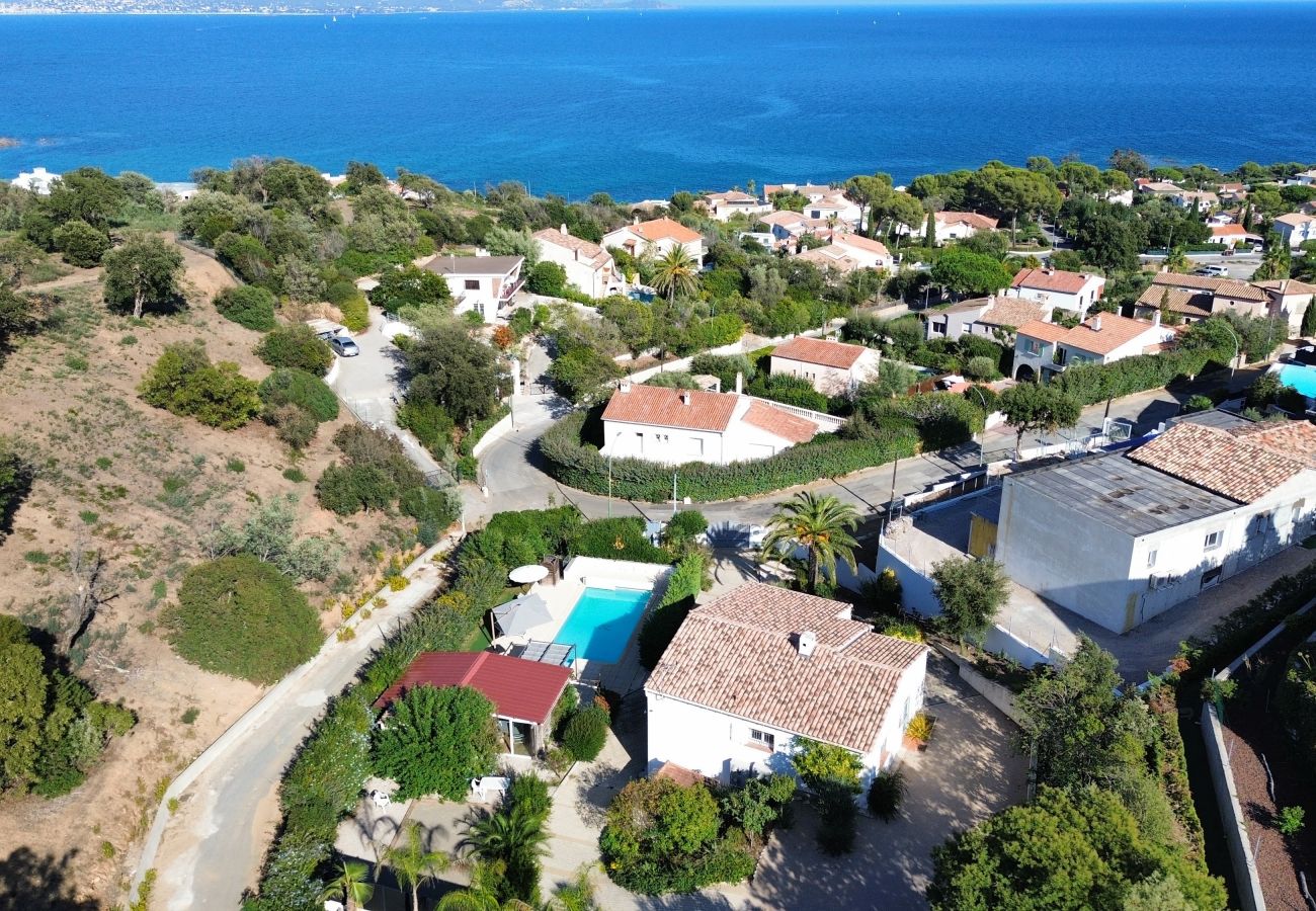 Villa in Les Issambres - Villa Palmier