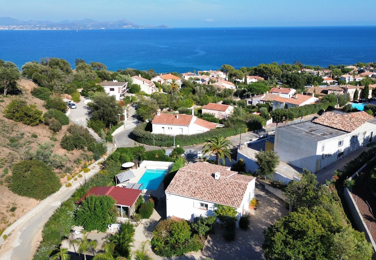 Villa in Les Issambres - Villa Palmier