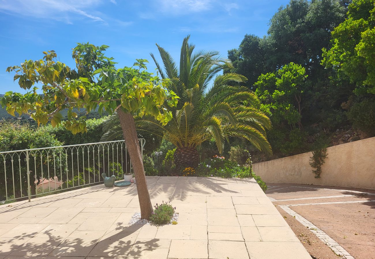 Villa in Saint-Aygulf - Villa L'Agriotier