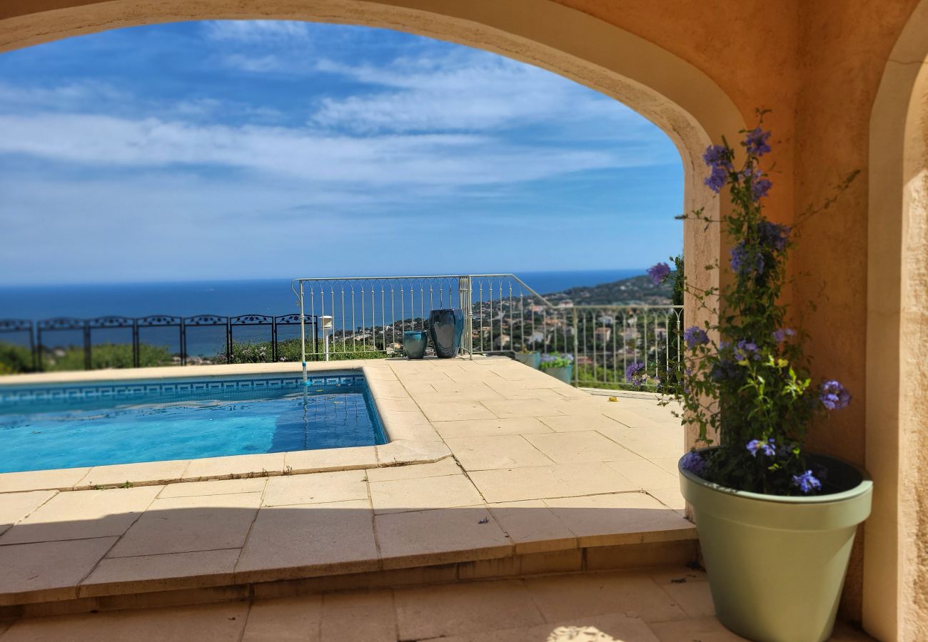 Villa in Saint-Aygulf - Villa L'Agriotier